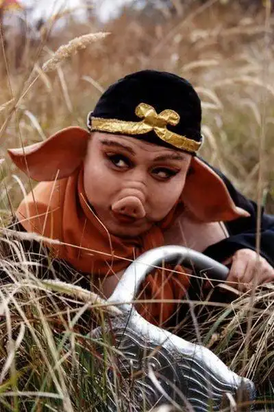 猪八戒走了十万八千里,为啥没瘦下来?美国这项研究或许可以解释|运动