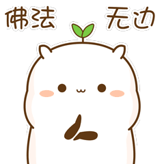 清水囧河 _ 哔哩哔哩相簿