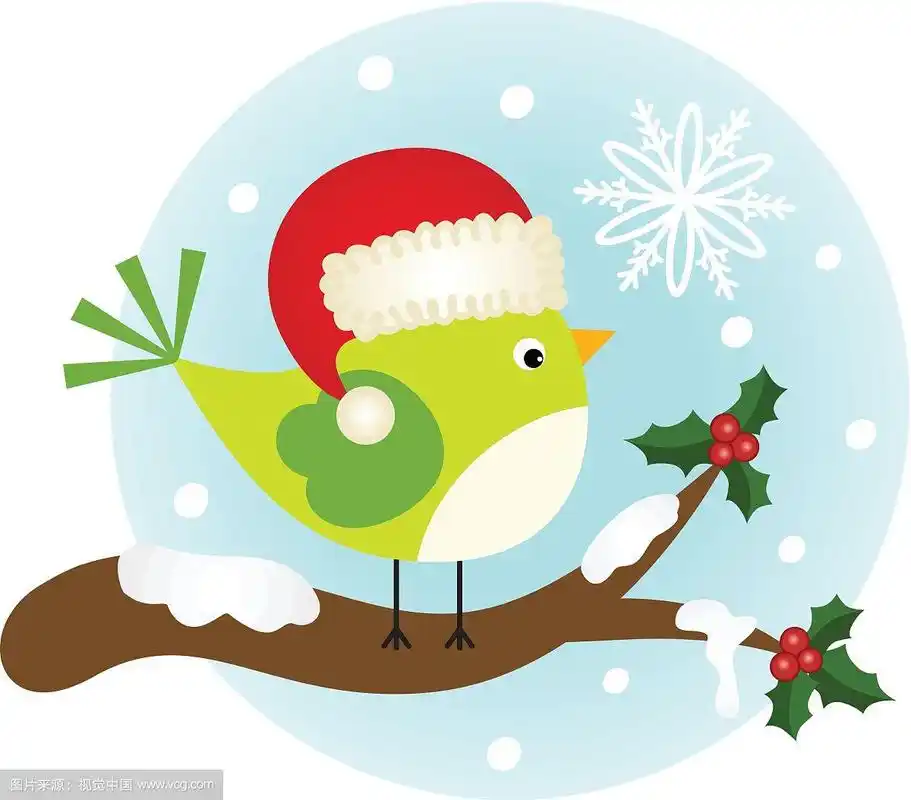 冬青枝上的圣诞鸟