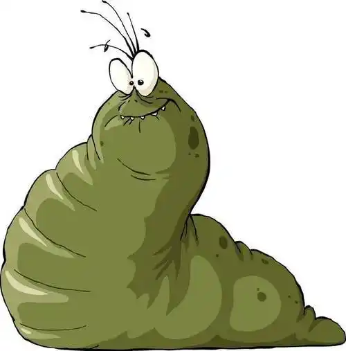 脚最多的动物:千足虫的故事2