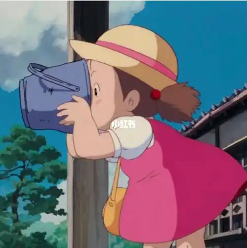 宫崎骏龙猫小梅头像可爱搞怪软萌头像