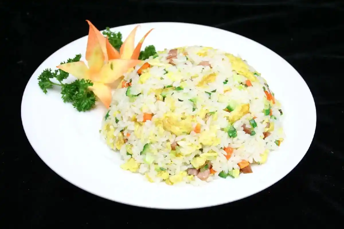 美味盖饭炒饭烩饭.