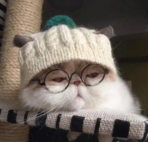 头像ins高级质感搞笑女搞笑女头像ins高级质感动漫搞笑女头像高级质感