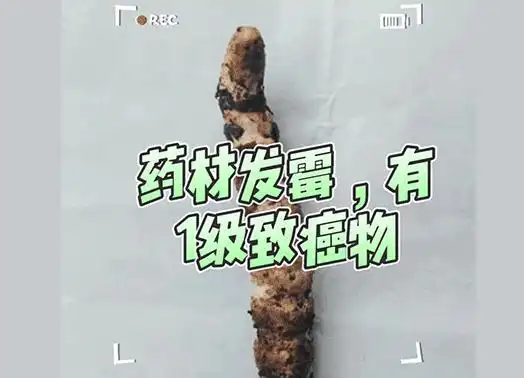 黄曲霉素去除#黄曲霉素杀死#黄曲霉菌去除