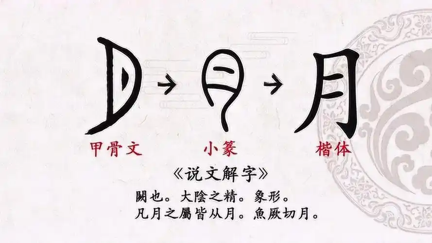 第2天 甲骨文"月"字的写法