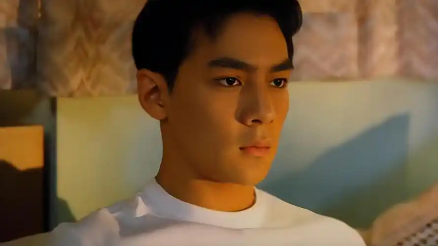 美如画的帅哥 吴彦祖