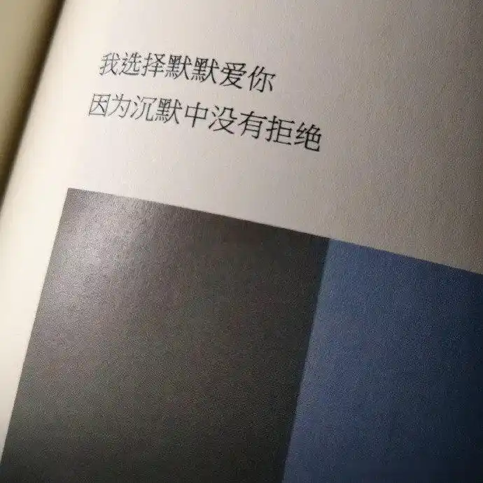 我选择默默爱你,  因为沉默中没有拒绝.