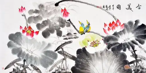 国画荷花寓意 荷花的寓意是什么