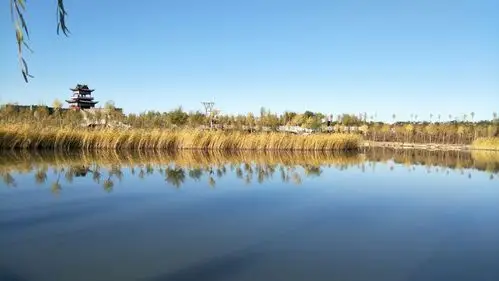 走进大安市嫩江湿地公园,沿途抬头观望,层林尽染,一片金黄色