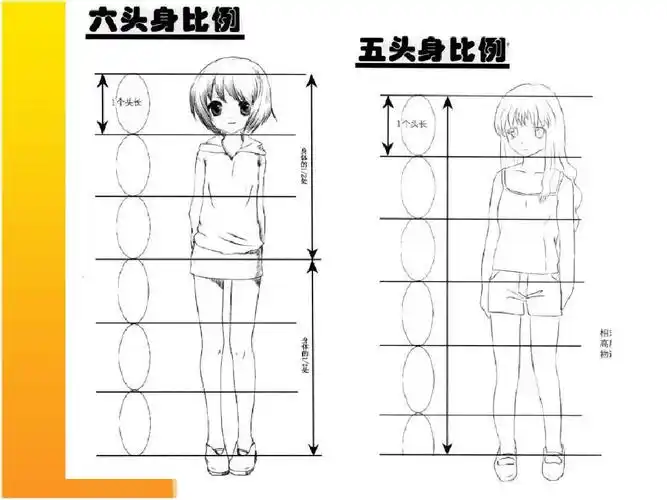漫画人物身体比例ppt