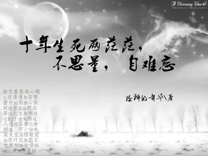 小说的名字叫做《十年生死两茫茫,不思量,自难忘》