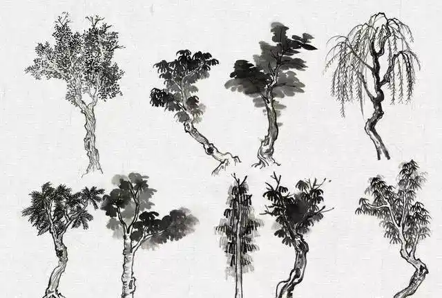 国画教程不同树的画法简单易学快收藏