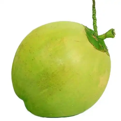 p>椰青也称青椰子,比起 a href="#" data-lemm