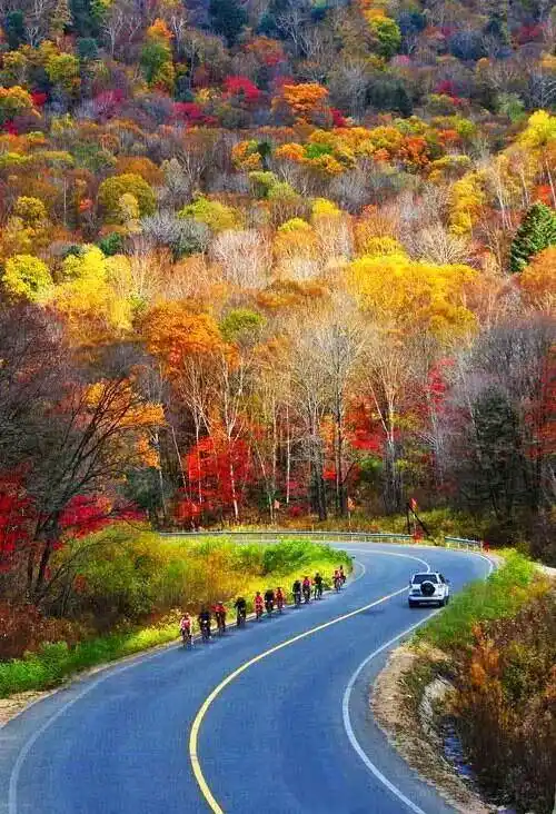 最美的风景在路上