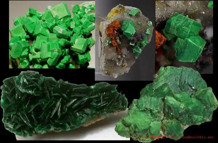 >> 矿物图片 >> 铜铀云母-torbernite