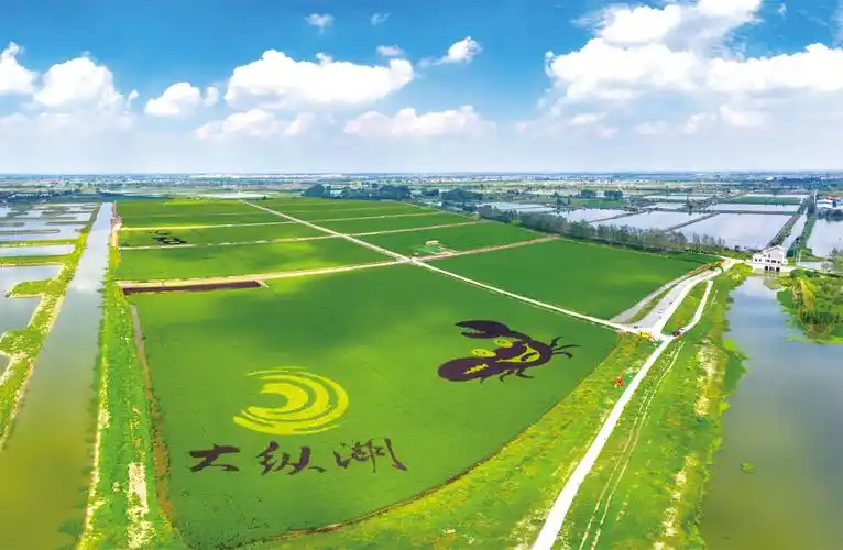 盐城大纵湖旅游度假区"流量"常新常红 -现代快报网