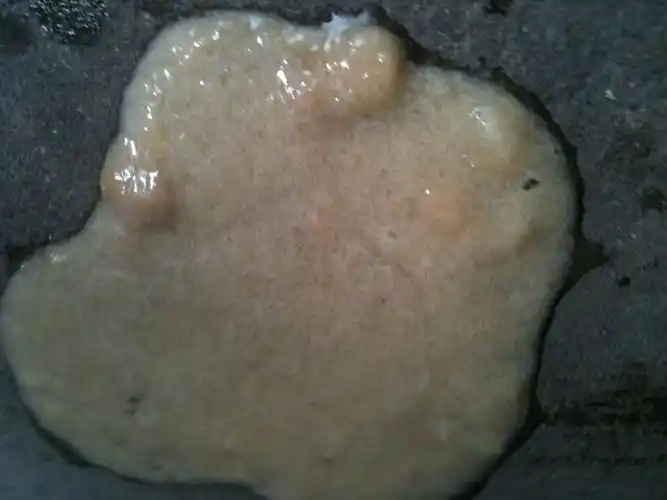 家中小狗突然呕吐