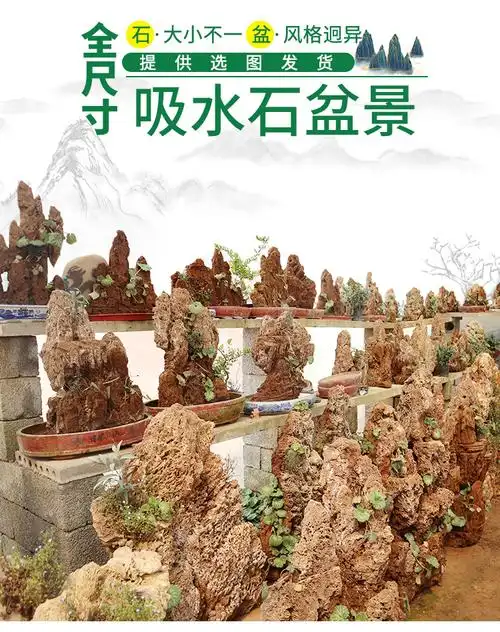 吸水石盆景上水石假山石奇石鱼缸造景家居装饰水秀石头奇石小摆件