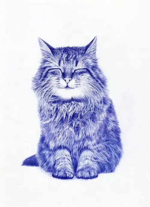 圆珠笔画猫作画步骤