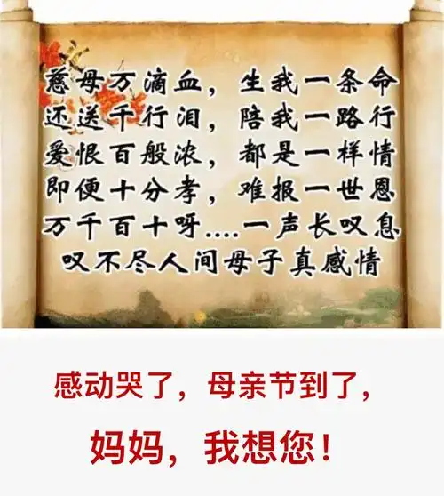 儿子想念母亲一一继发