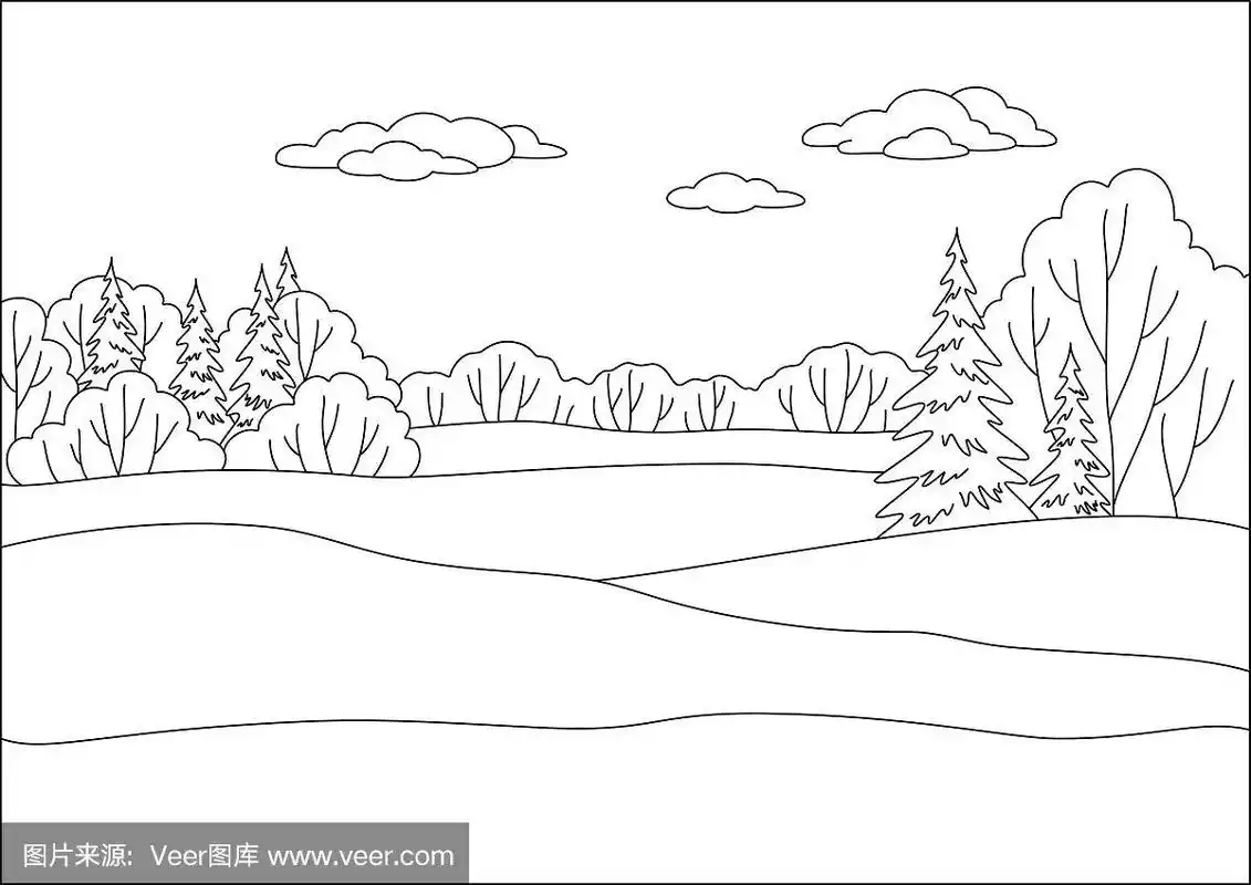 景观,冬季森林,轮廓