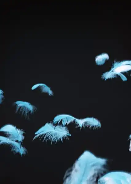 遗憾也是一种美