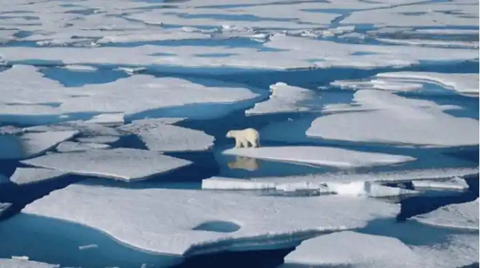 全球变暖警告 其中许多变化不可逆转
