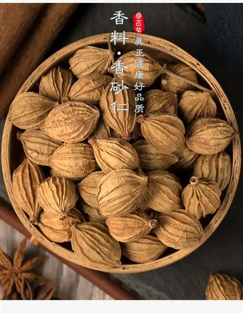同仁堂香砂仁 沙仁 香料 卤料 火锅底料 调料 100