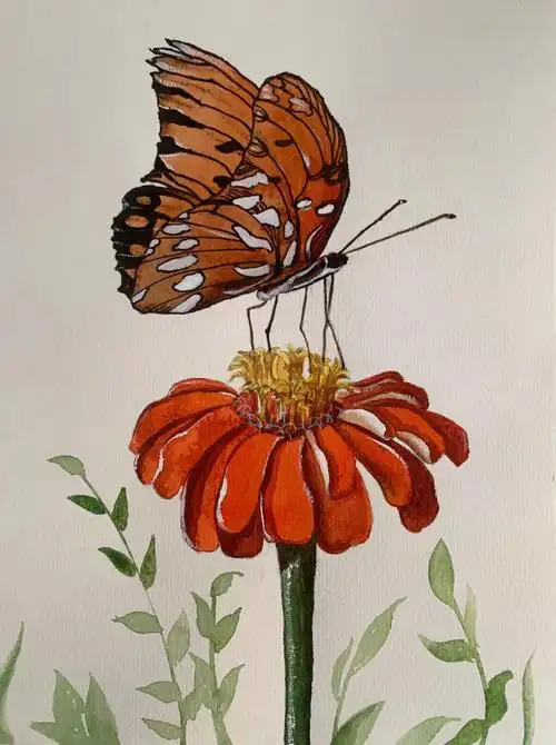 水彩线描蝴蝶03