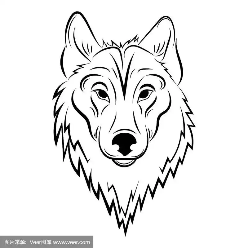 描绘一只狼黑白相间