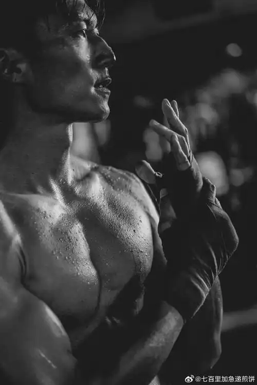 谢霆锋半裸悬空打拳