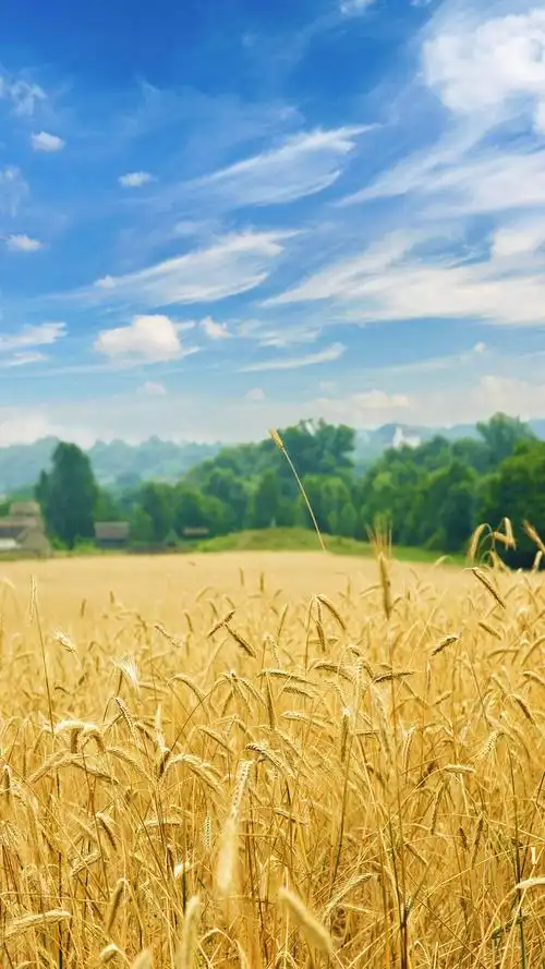 32张漂亮的自然风光微信70聊天背景图片推荐唯美自然风景手机壁纸全文