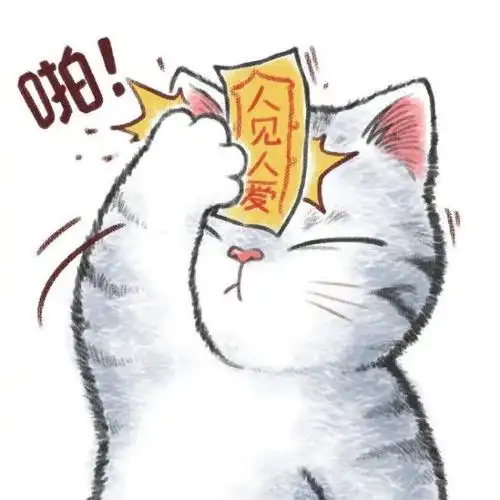 头像:一组敲可爱的好运猫咪