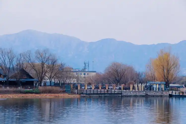 北京稻香湖湿地公园,位于南沙河与上庄水库交汇处,有溪滩湿地,水网