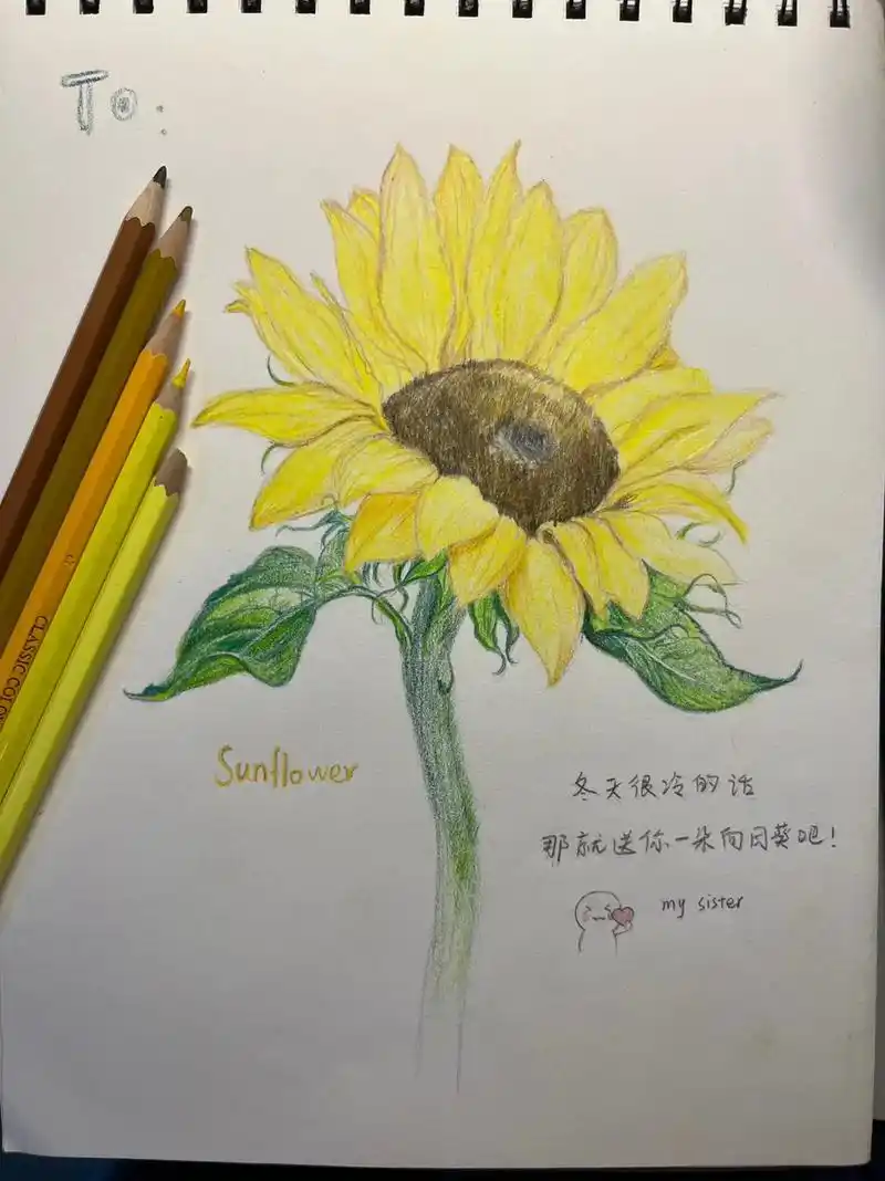 彩铅手绘 #向日葵有个很好的花语 冬天很冷的话,那就送你一 - 抖音