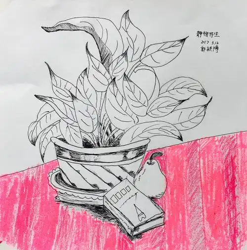 2017.3.12金凤路校区国际动漫班《静物写生》