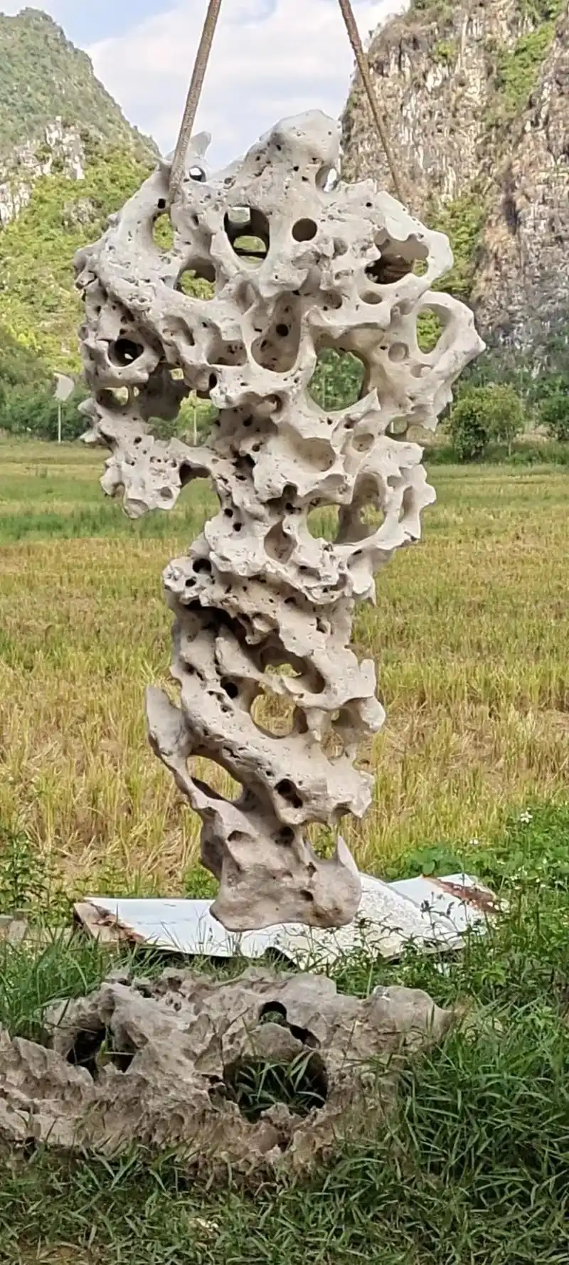 园林景观 #奇石欣赏 白 黑#太湖石 #收藏品  - 抖音