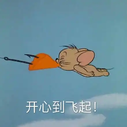 开心到飞起_飞起_开心表情