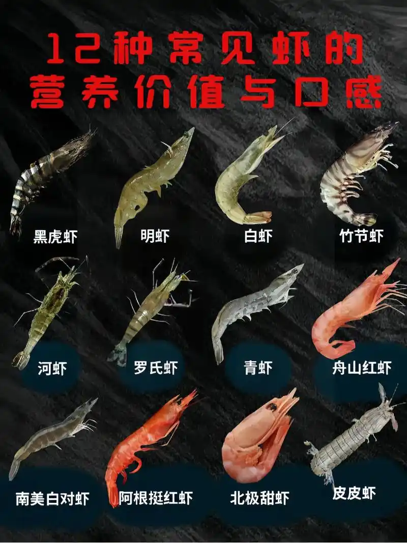 12种常见虾的营养价值与口感.你最喜欢哪一种#美食 #科普 - 抖音