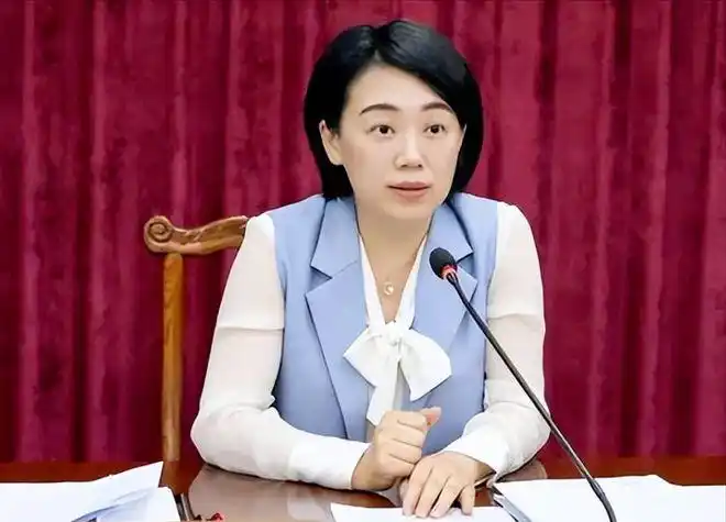 52岁"女副省长"走红,浑身散发知性魅力,教育背景更是不简单_网易订阅