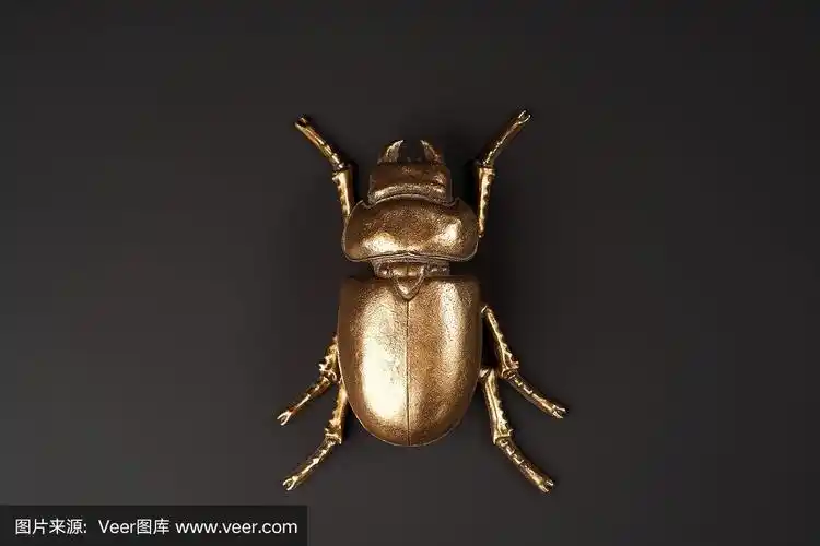 金色圣甲虫在黑色背景与拷贝空间