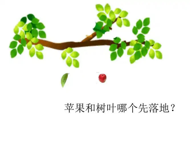 23自由落体运动的规律共19张ppt