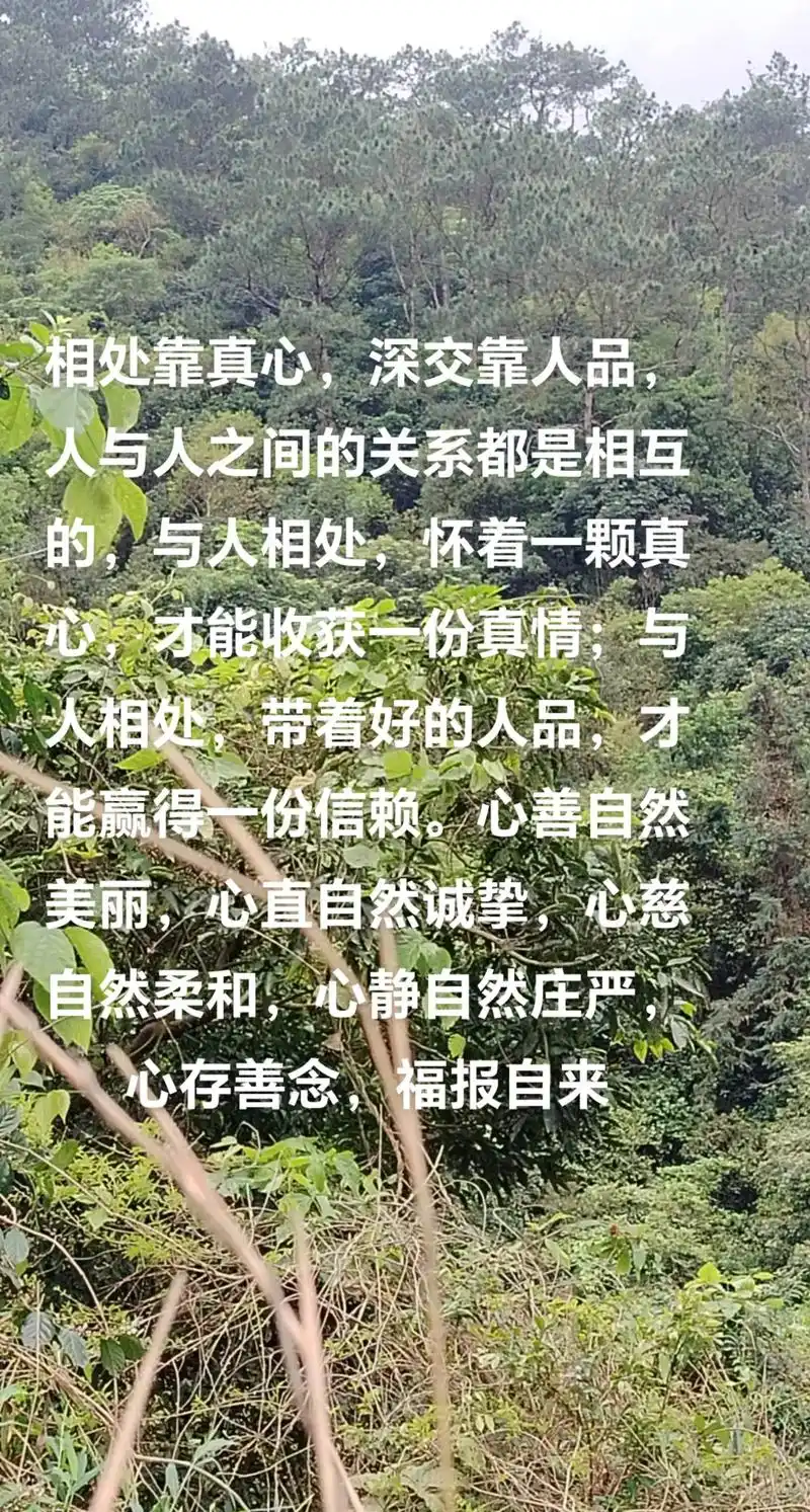 与人相处,怀着一颗真心,才能收获一份真情;与人相处,带着好的人品