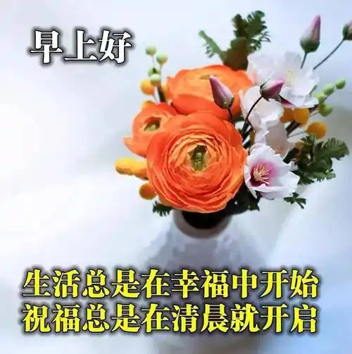 周六清晨早安祝福动态图片大全最新早上问候语图片加文字