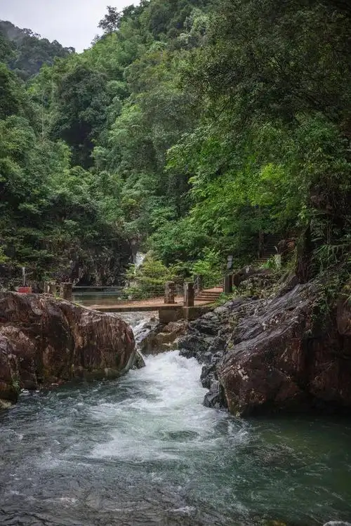 最快15h能到深圳周边自驾游好去处周末假期安排起来