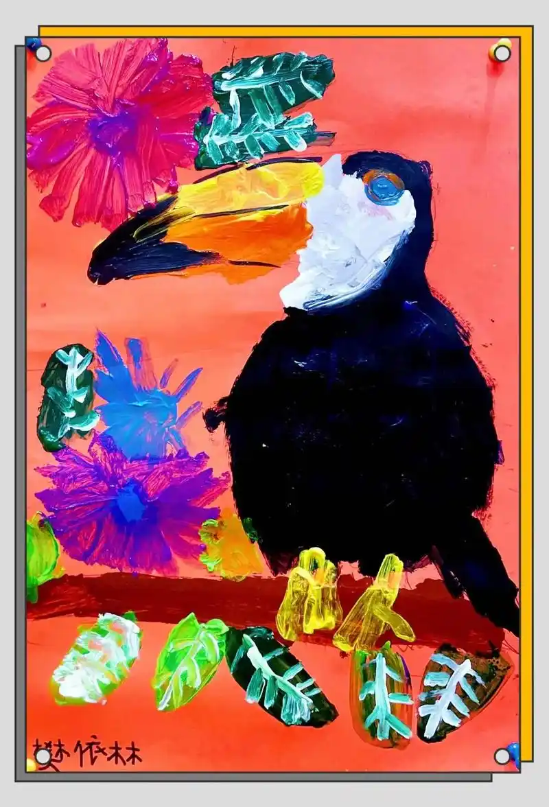 鵎鵼学名toucans又名巨嘴鸟体长约67厘米嘴巨大长1724厘米宽59厘米