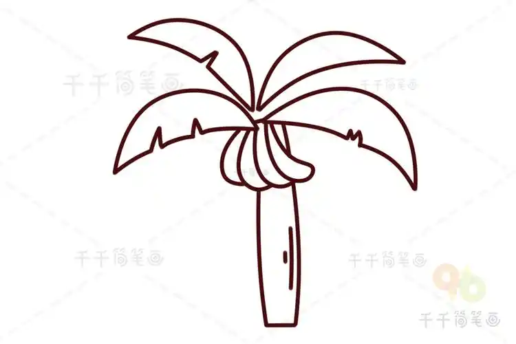 香蕉树简笔画