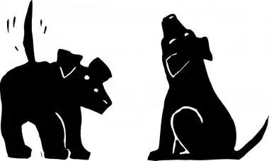 两只猫与阴影两个猫咪与影子矢量