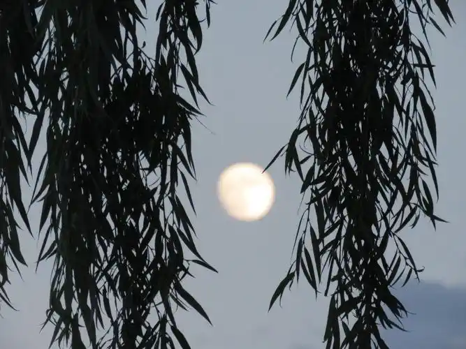 邛海边天上的月亮水中的月波