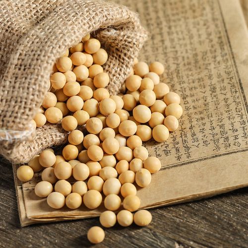 嫩个杂粮现磨豆浆五谷原料粗粮大豆豆类可煮粥 黄豆1kg